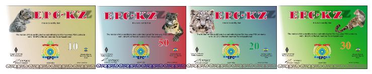 Дипломная серия EPC-KZ